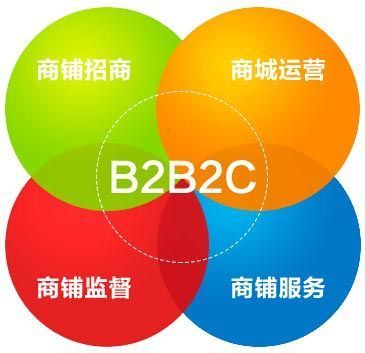 B2B2C商城盈利之道 從系統(tǒng)開(kāi)發(fā)到精細(xì)化運(yùn)營(yíng)的全景策略