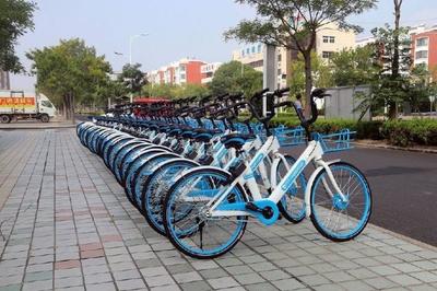 共享單車“臟亂差”現(xiàn)象背后的經(jīng)濟邏輯與管理困境